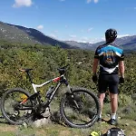 Almunias *