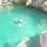Almunias