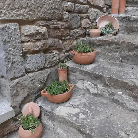 Almunias